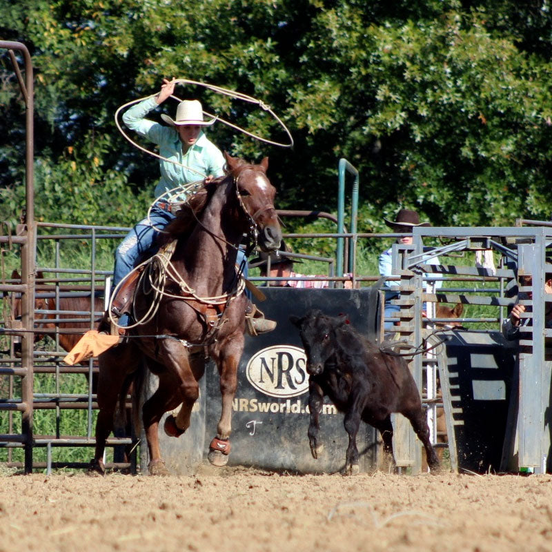 BREAKAWAY ROPING
