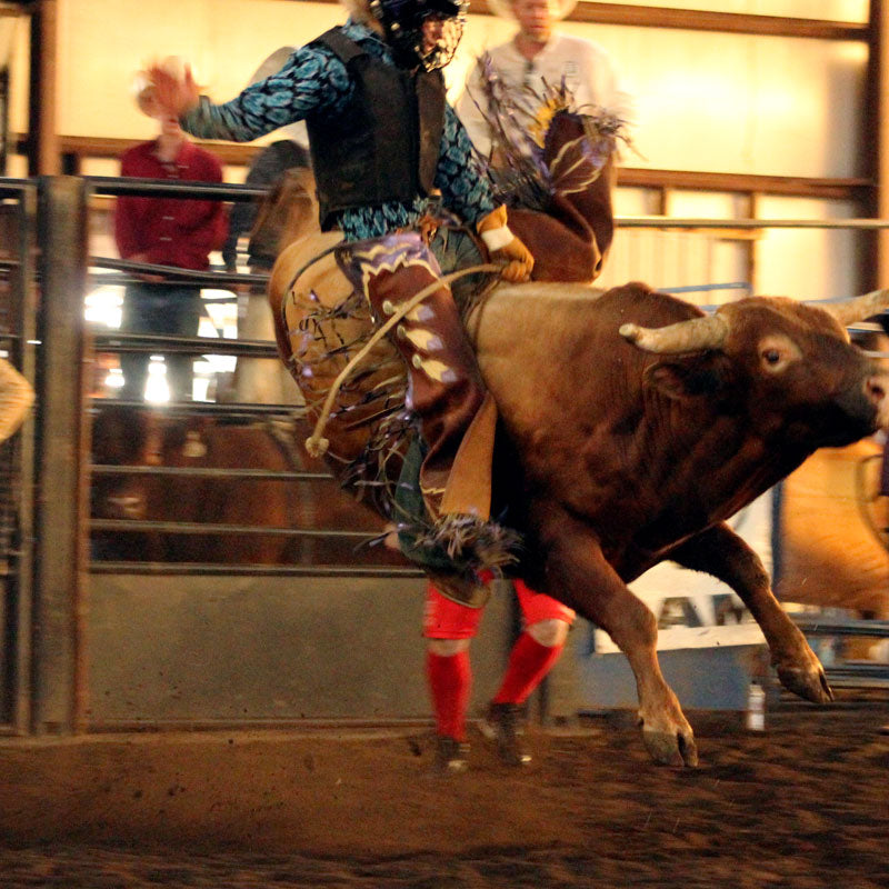 BULL RIDING