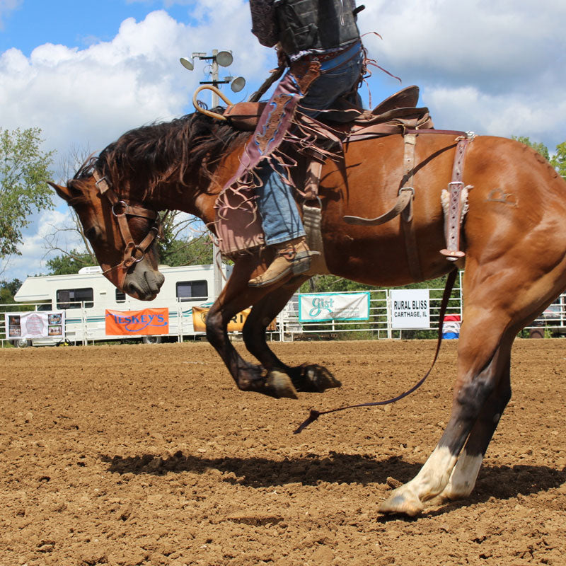 SADDLE BRONC RIDING