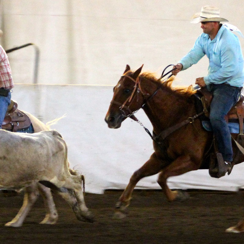 STEER WRESTLING